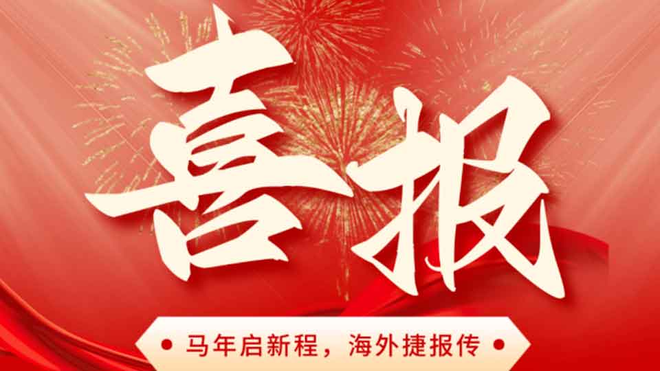 A Strong Start to the Year of the Horse!DaTongLongYuan Wins the Bid for the High-Pressure Boiler Feed Pump Project of PLN Pulang Pisau Power Plant in Indonesia